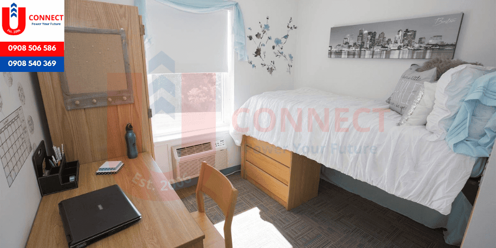 Trường trung học Cats Academy Boston, bang Massachussets - Mỹ